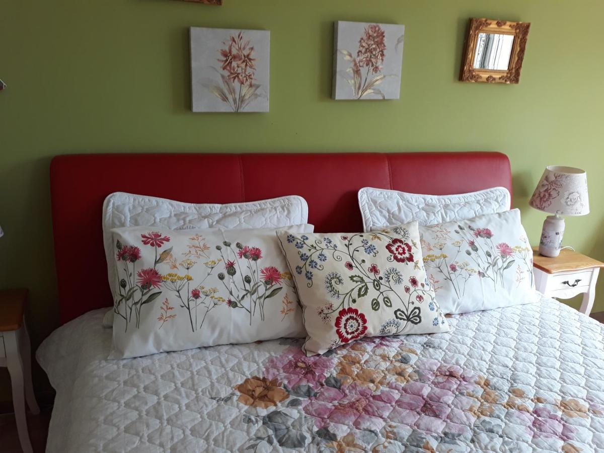 Sweet Garden Residence 布拉索夫 外观 照片