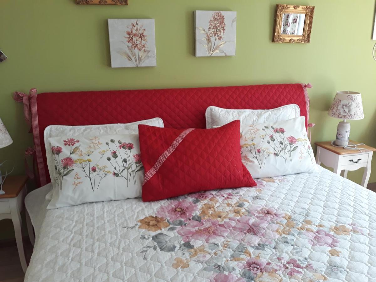 Sweet Garden Residence 布拉索夫 外观 照片