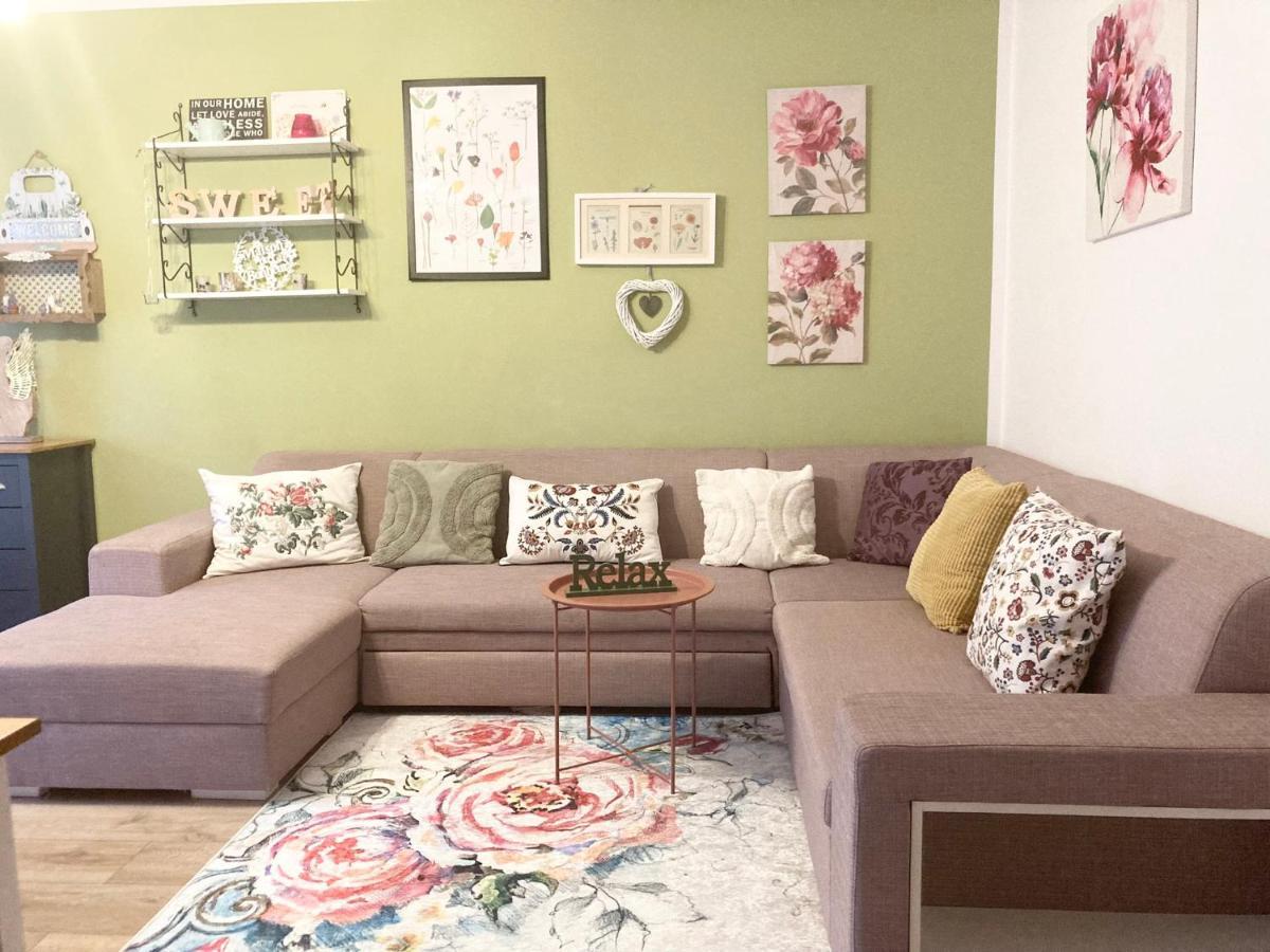Sweet Garden Residence 布拉索夫 外观 照片