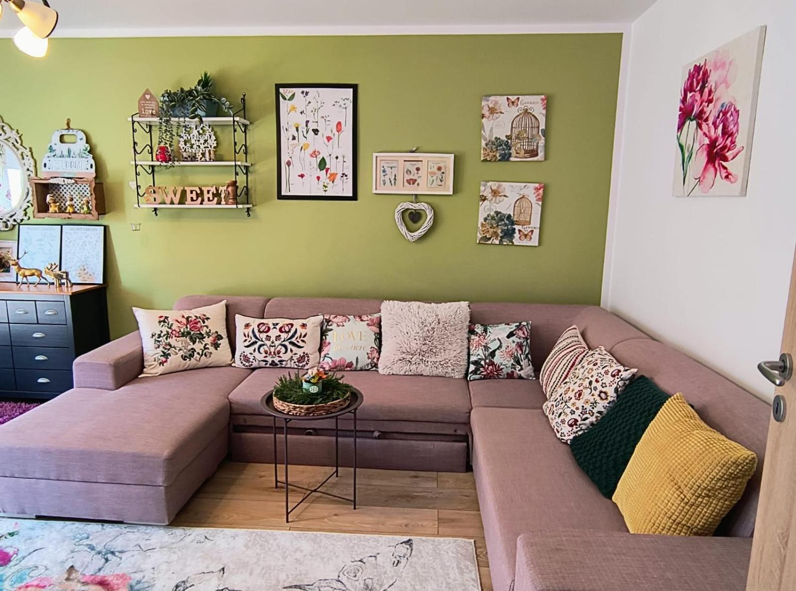Sweet Garden Residence 布拉索夫 外观 照片