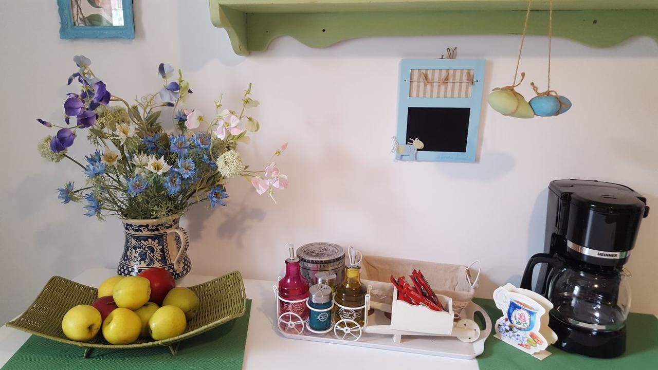 Sweet Garden Residence 布拉索夫 外观 照片